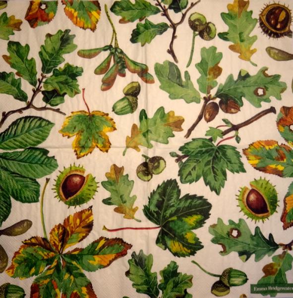 247 Autumn - 3-ply - Ihr - Emma Bridgewater
